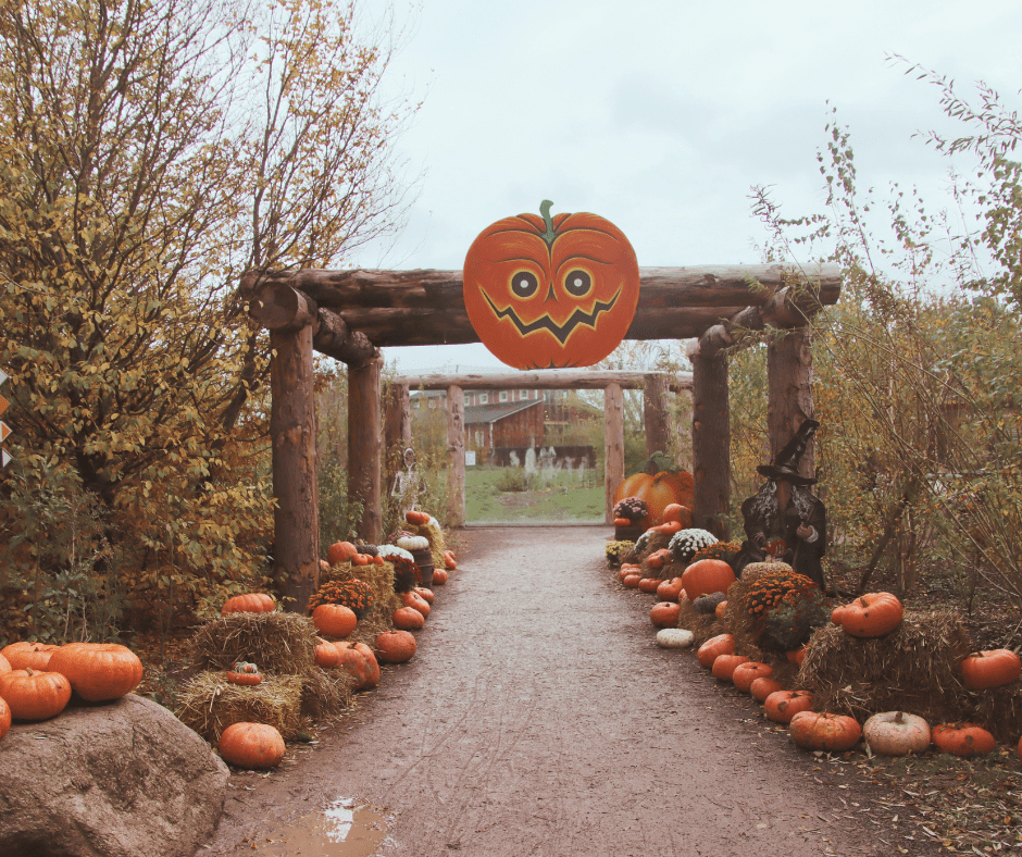 Dekoracje halloweenowe na farmie dyniowej