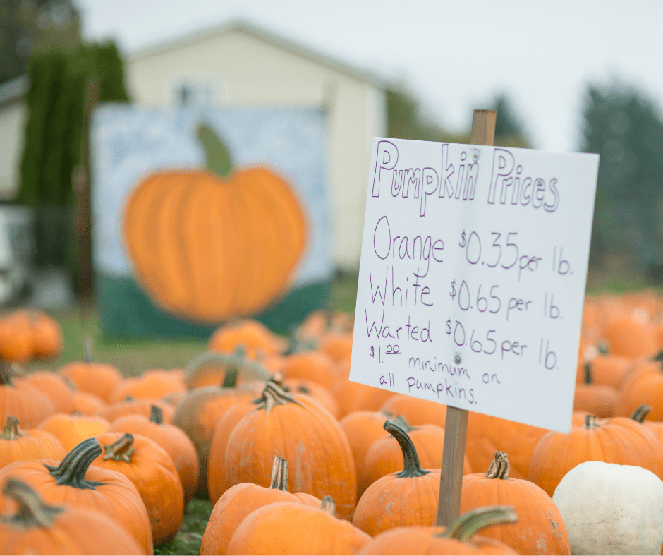 Jesienna sceneria na farmie dyniowej
