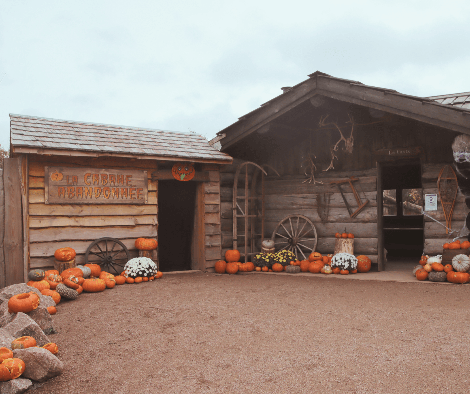 Zwiedzanie farmy dyniowej