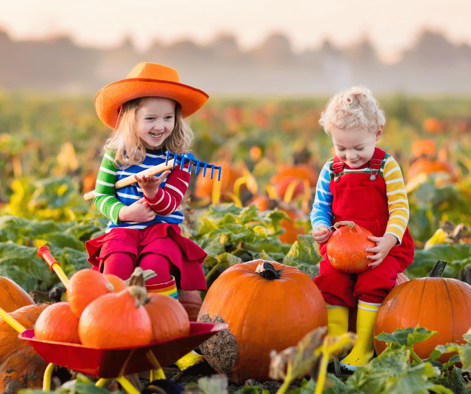 Sesje zdjęciowe na farmie dyniowej