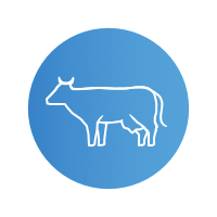 Symboliczna grafika w kształcie krowy