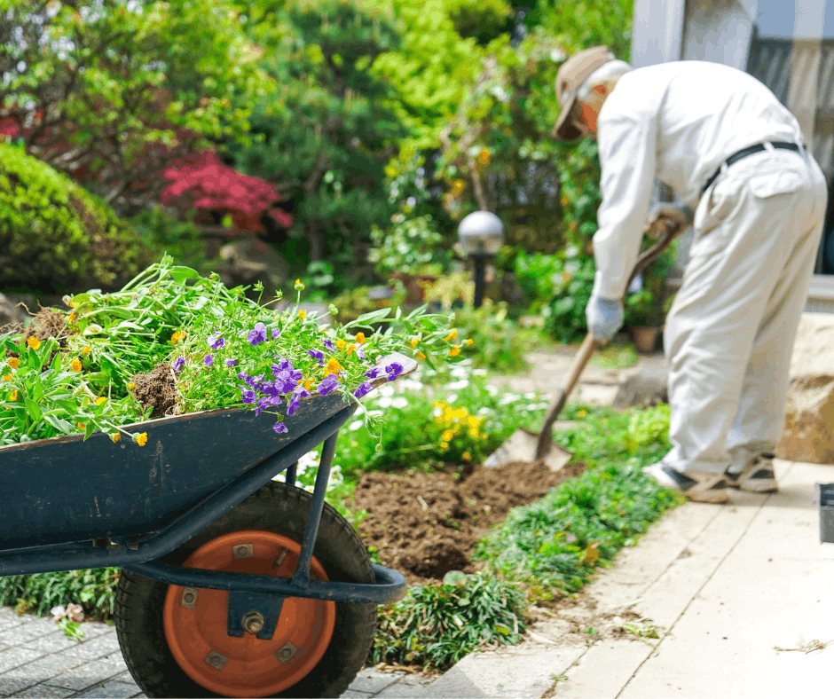 Prace w ogrodzie latem