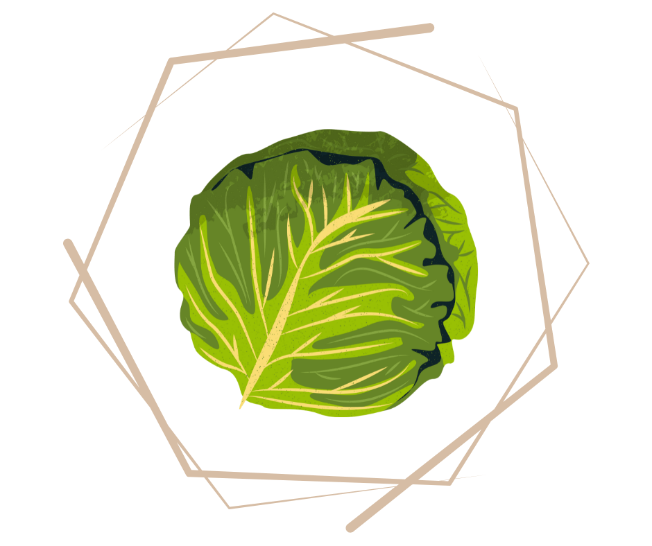 Magazyn na warzywa kapustne